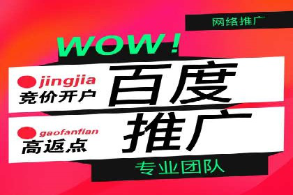 百度优化推广案例：案例分析及优化建议